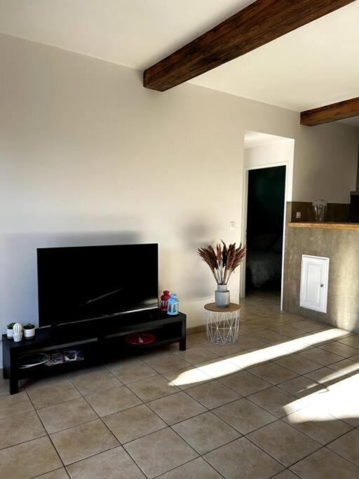 Superbe Appartement Dans Un Mas Νιμ Εξωτερικό φωτογραφία